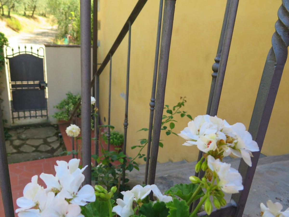 特拉诺瓦-布拉乔利尼La Casa Delle Rose别墅 外观 照片